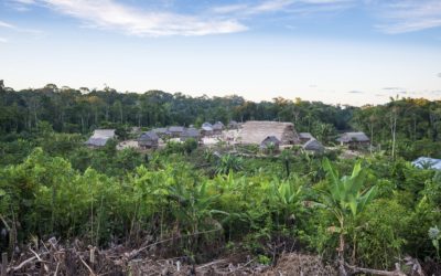 Fighting for the Last Guardians of the Rainforest