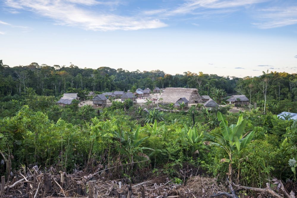 Fighting for the Last Guardians of the Rainforest