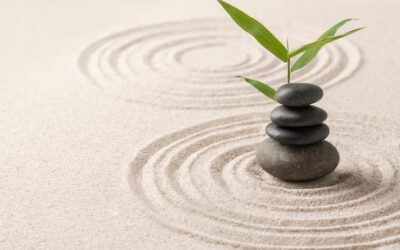 New BBS Webinar & Partnership With Bearapy