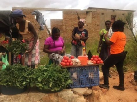 Mobility for Africa’s Transport Survey Results Released