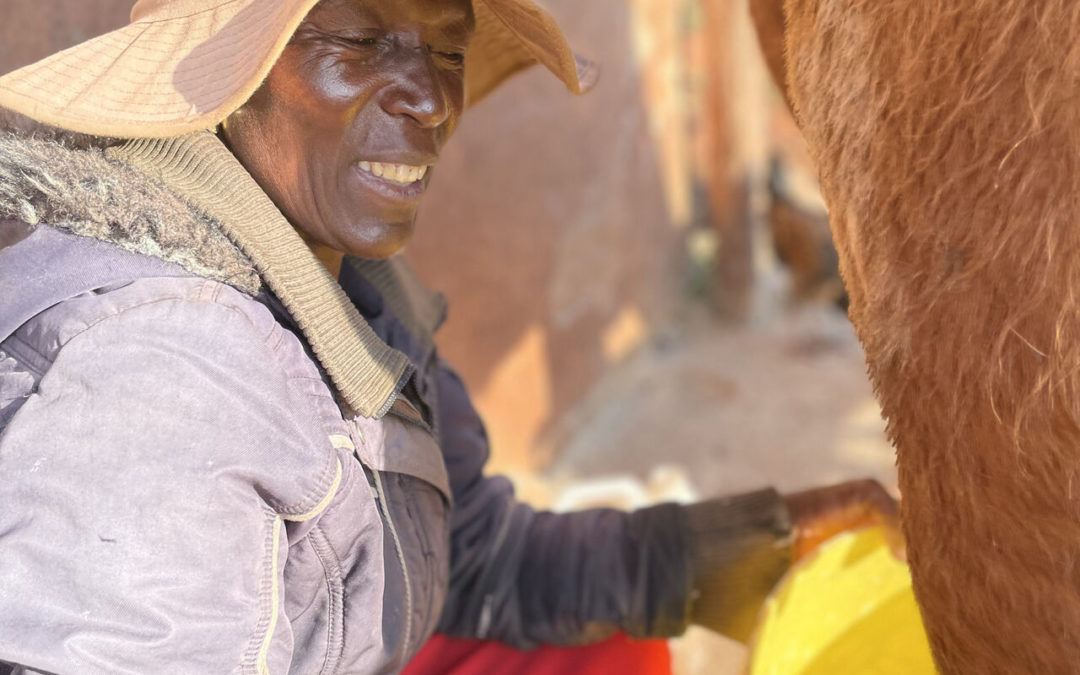 Making Life Better for Small Scale Farmers ~ Mobility for Africa’s Success Grows