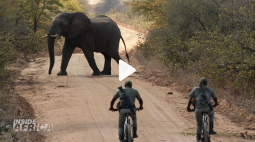 CNN’s Inside Africa Features Mobility for Africa