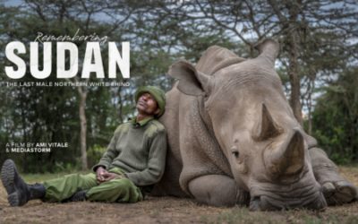 Remembering Sudan & Hope for the White Rhino