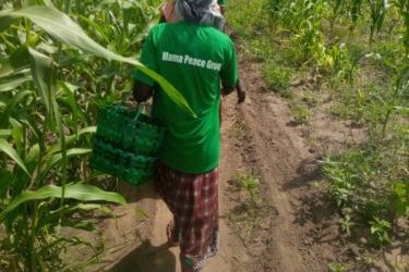 Cultivating Progress: Empowering Rural African Women Through Agriculture Training