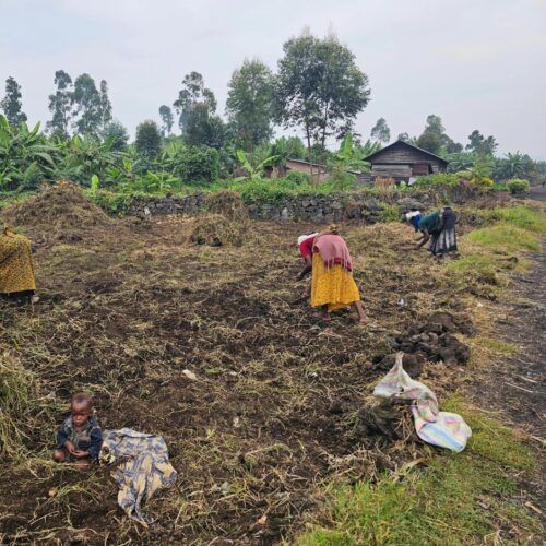 Hope Grows: Resilience Takes Root in Goma