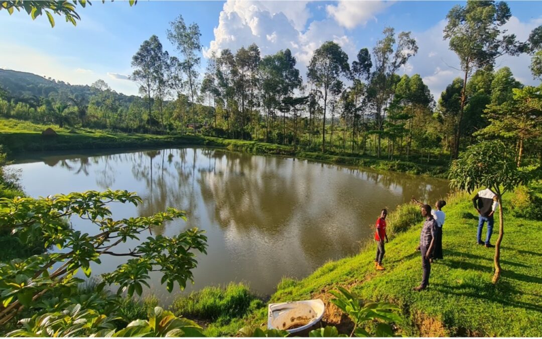 Reviving Livelihoods Through Sustainable Fishing on Bussi Island, Uganda