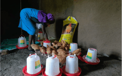 Open for Business: Homa Bay’s Newest Entrepreneurs Take Flight