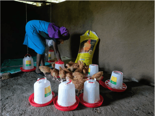 Open for Business: Homa Bay’s Newest Entrepreneurs Take Flight