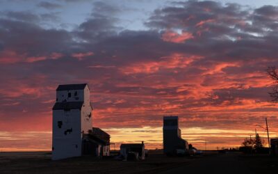 The Power of Collective Kindness