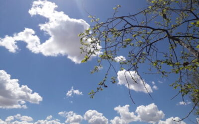 Renewing Our Purpose: Driving Lasting Change in 2026