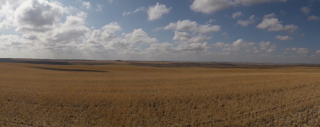 Opinion: The International Year of the Woman Farmer Must Be More Than Symbolic