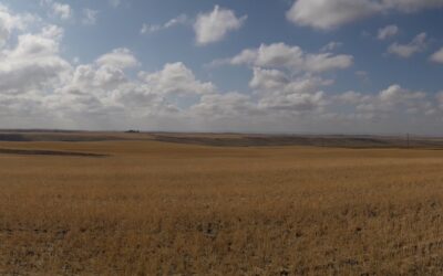 Opinion: The International Year of the Woman Farmer Must Be More Than Symbolic