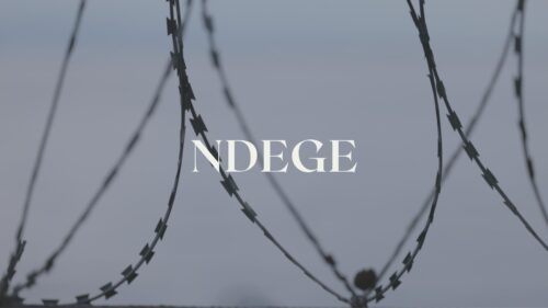 The BBS Documentary NDEGE Trailer Is Out