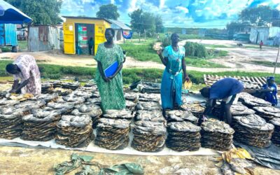 What Happens When Women Are Given the Opportunity to Build Their Own Businesses?
