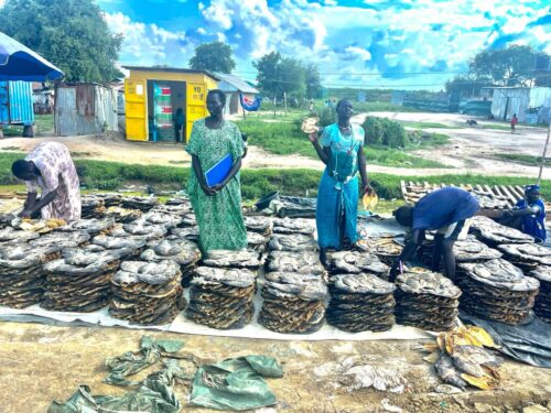 What Happens When Women Are Given the Opportunity to Build Their Own Businesses?